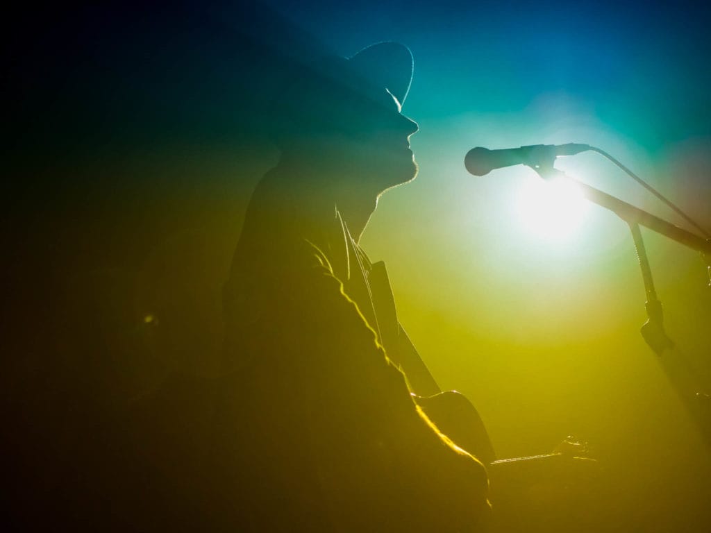 The Veils